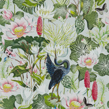 W0137/02 Dove Waterlily Botanical Wonders Wedgwood Wallpaper by Clarke & Clarke