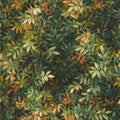 Congo Exotica 2 Antique Wallpaper by Clarke & Clarke