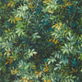 Congo Exotica 2 Forest Wallpaper by Clarke & Clarke