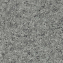 W0152/01 Impression Fusion Charcoal Wallpaper by Clarke & Clarke