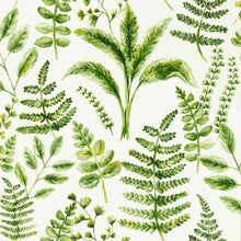 W0156/02 Bracken Marianne Forest Wallpaper by Clarke & Clarke