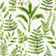 Bracken Marianne Forest Wallpaper by Clarke & Clarke