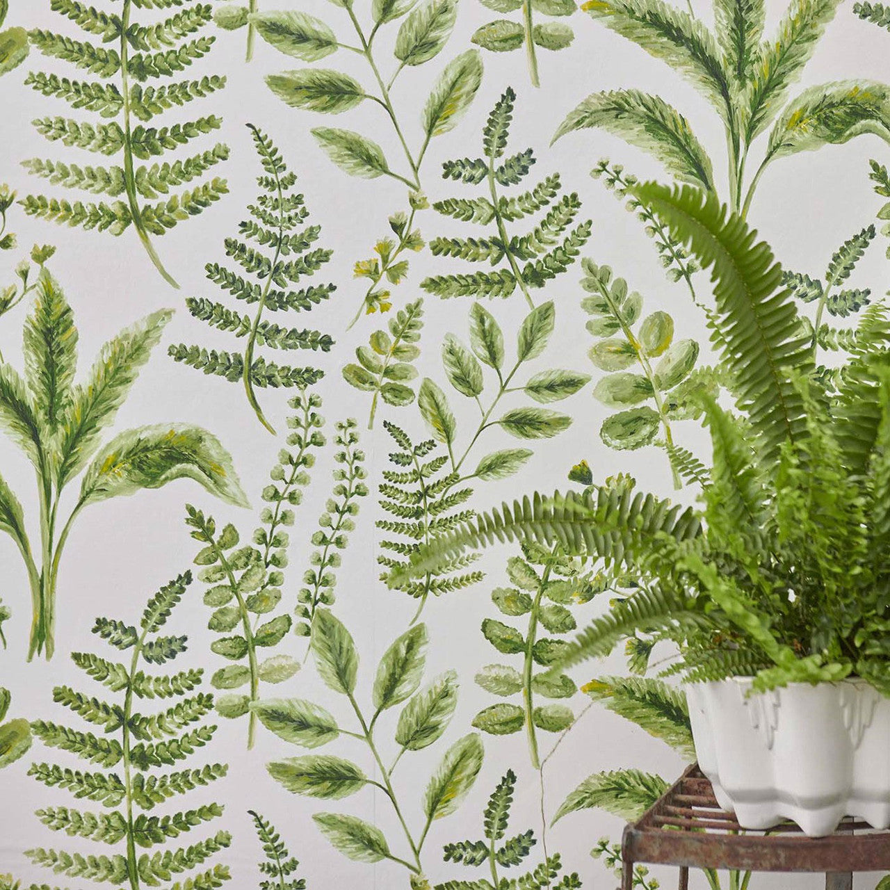 W0156/02 Bracken Marianne Forest Wallpaper by Clarke & Clarke
