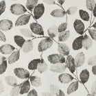 W0159/01 Northia Marianne Charcoal Wallpaper by Clarke & Clarke