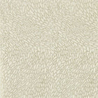 W0166/01 Corallino Lusso Ivory Wallpaper by Clarke & Clarke