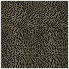 W0166/02 Corallino Lusso Noir Wallpaper by Clarke & Clarke