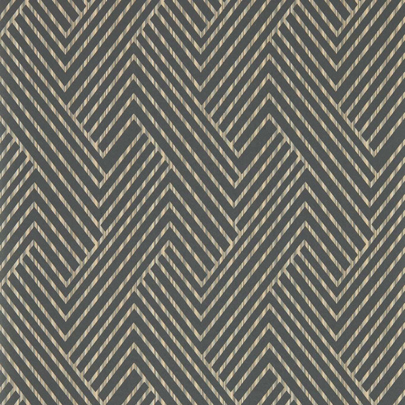W0181/01 Grassetto Vivido Charcoal Wallpaper by Clarke & Clarke