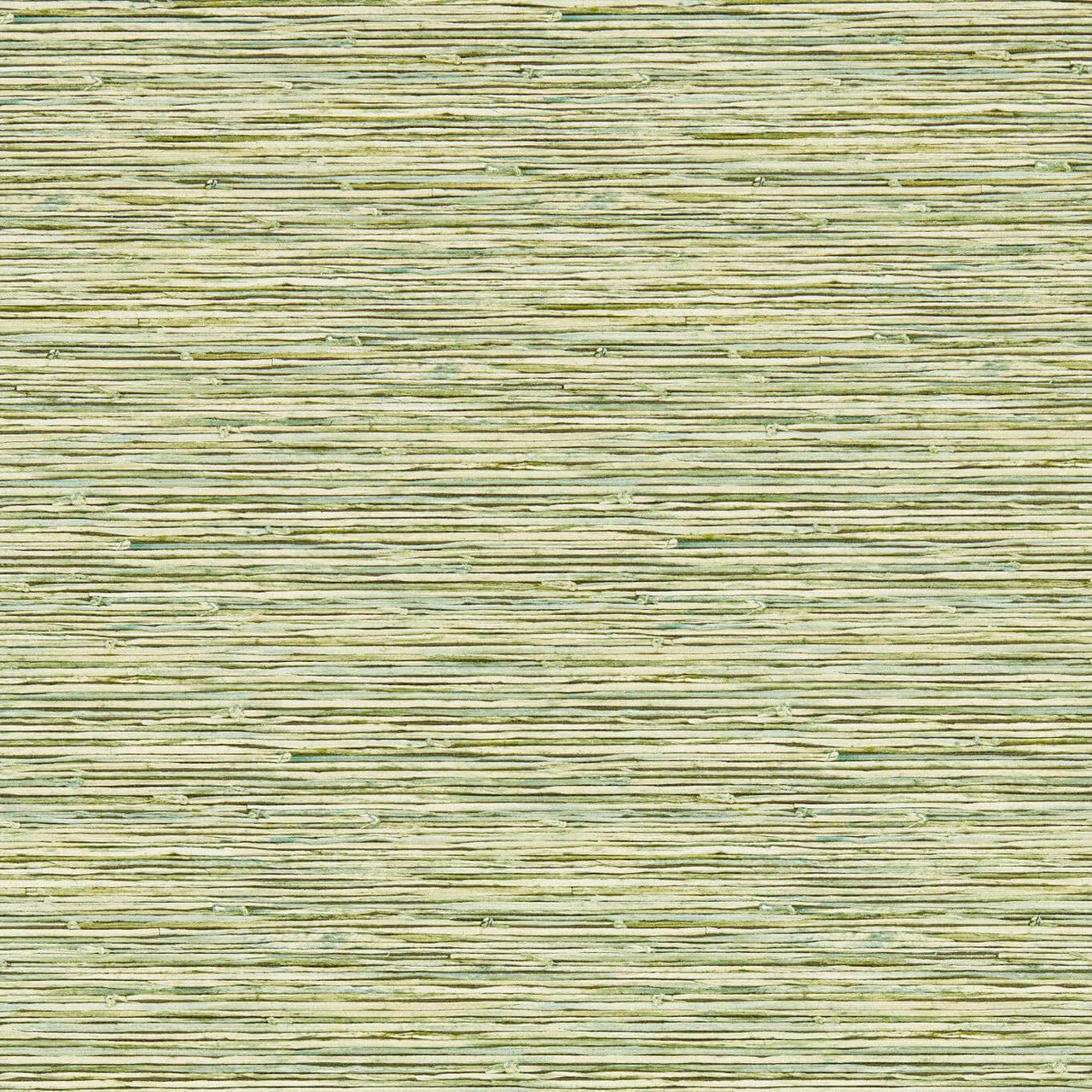 W0192/04 Xan Breegan Jane Palm Wallpaper by Clarke & Clarke