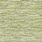 W0192/04 Xan Breegan Jane Palm Wallpaper by Clarke & Clarke