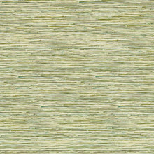 W0192/04 Xan Breegan Jane Palm Wallpaper by Clarke & Clarke