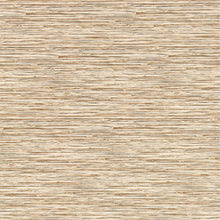 W0192/06 Xan Breegan Jane Sahara Wallpaper by Clarke & Clarke