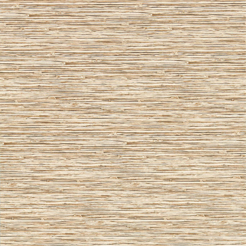 W0192/06 Xan Breegan Jane Sahara Wallpaper by Clarke & Clarke