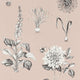 Roseraie Secret Garden Blush Wallpaper by Clarke & Clarke