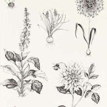 W0197/02 Roseraie Secret Garden Charcoal Wallpaper by Clarke & Clarke