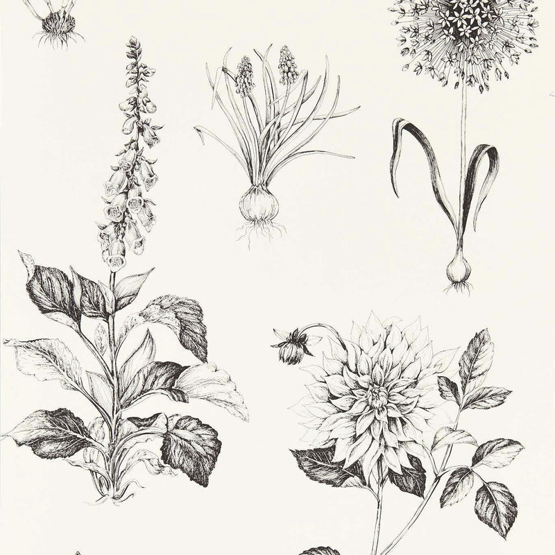 W0197/02 Roseraie Secret Garden Charcoal Wallpaper by Clarke & Clarke