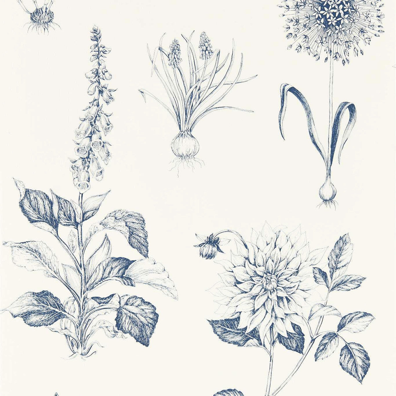 W0197/03 Roseraie Secret Garden Midnight Wallpaper by Clarke & Clarke