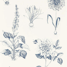 W0197/03 Roseraie Secret Garden Midnight Wallpaper by Clarke & Clarke