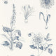 Roseraie Secret Garden Midnight Wallpaper by Clarke & Clarke