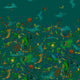 Cloud Forest Mythica by Emma J Shipley Teal Wallpaper by Clarke & Clarke