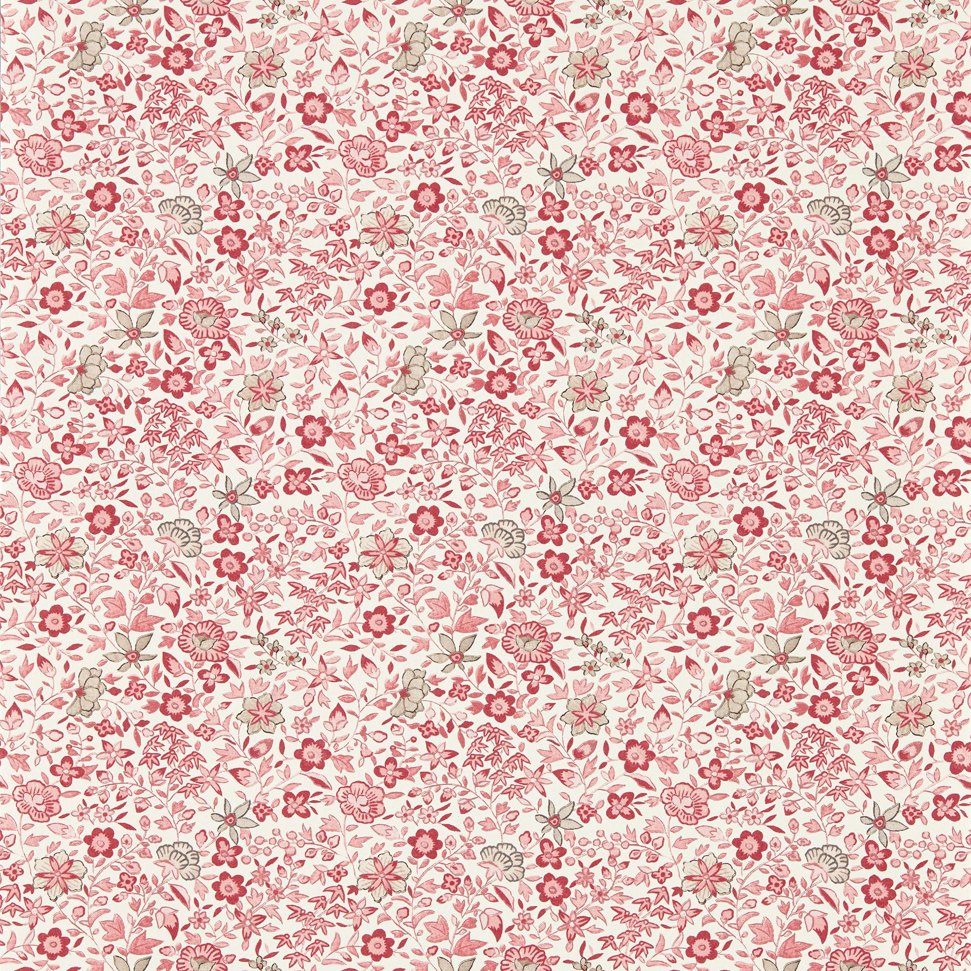 W0235/01 Gamthi Indira Blush Wallpaper by Clarke & Clarke