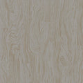 Otishi Japura Wallpaper By Romo