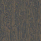 W417/07 Otishi Japura Wallpaper By Romo