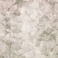 Sarita Pluma Wallpaper by Romo