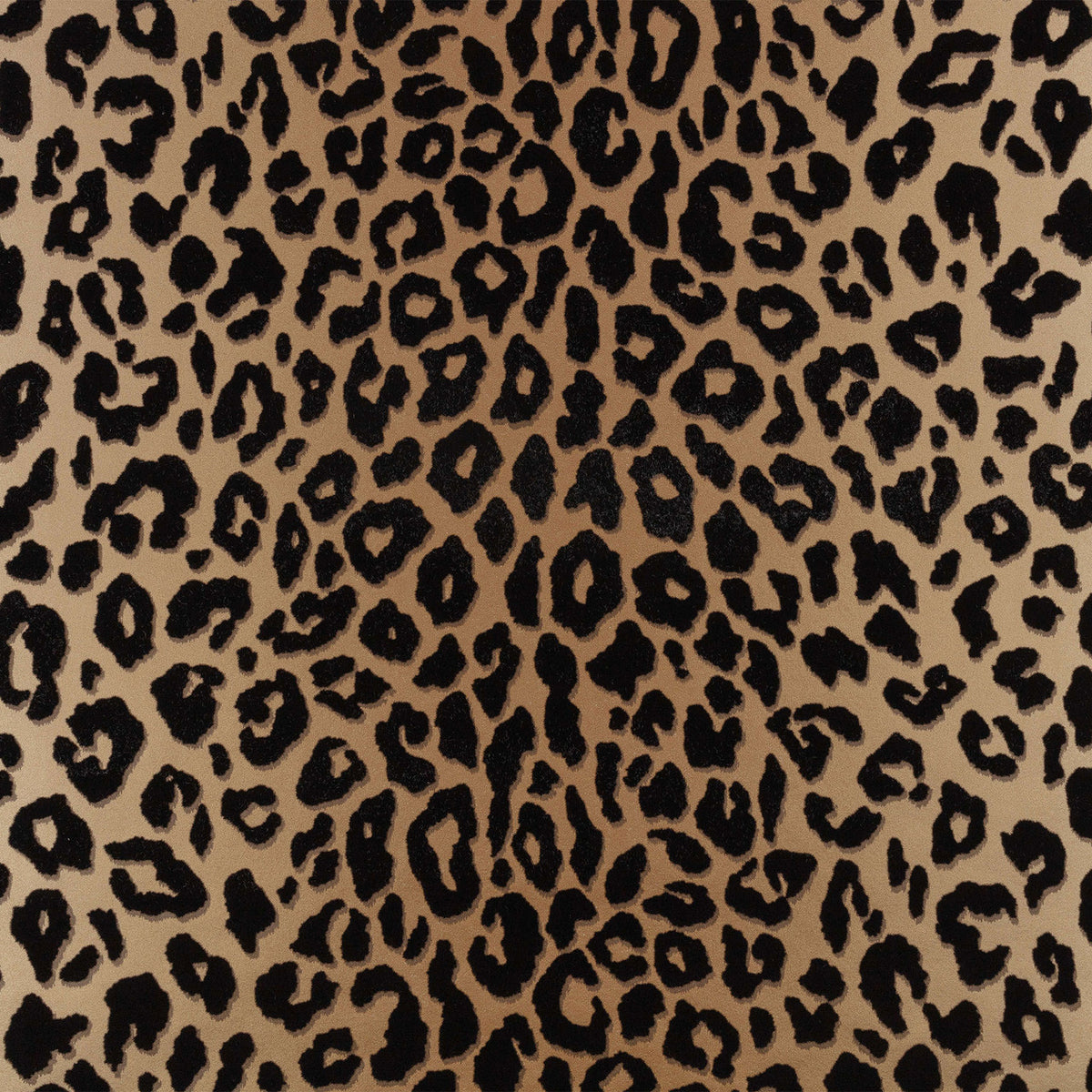 Mimi Temperley London Tan Wallpaper By Romo