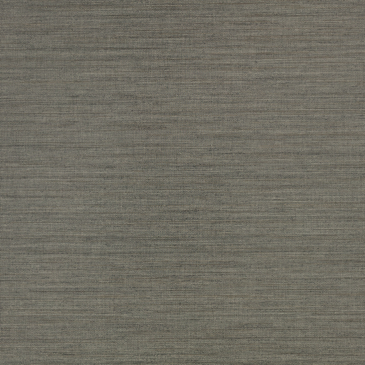 W462/09 Ciro Abaca Embossed Magnet Wallpaper By Romo