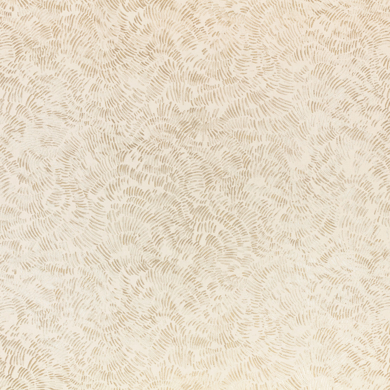 W469/02 Shiri Ottavia Shell Wallpaper By Romo