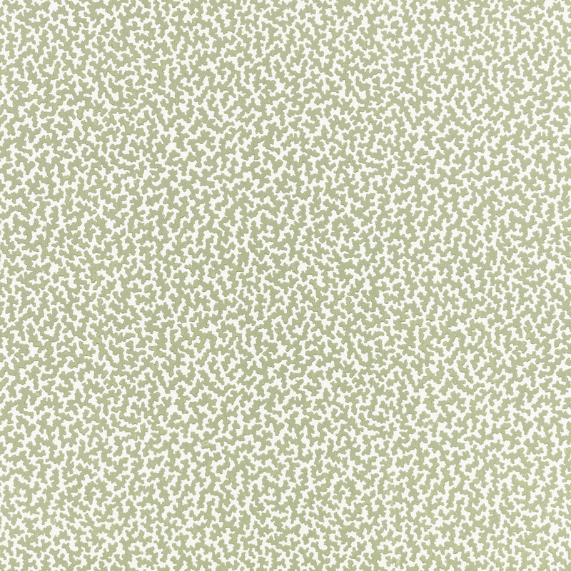 W476/06 Junie Wallcovering Aloe Aubin Wallcoverings Wallpaper by Romo
