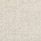 W551/02 Jali Renzo Wallpaper By Villa Nova