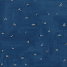 W581/03 Twinkle Twinkle Christopher Corr Picturebook Wallpaper By Villa Nova