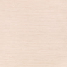 W595/13 Chandbali Wide Serene Plaster Wallpaper By Villa Nova