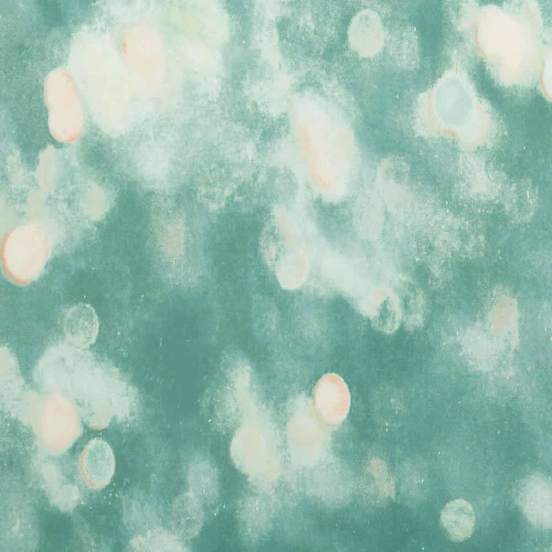 W613/01 Bokeh Scene Wallpaper By Villa Nova