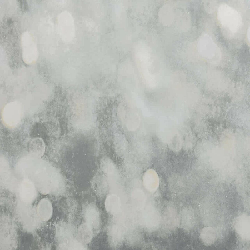 W613/02 Bokeh Scene Wallpaper By Villa Nova