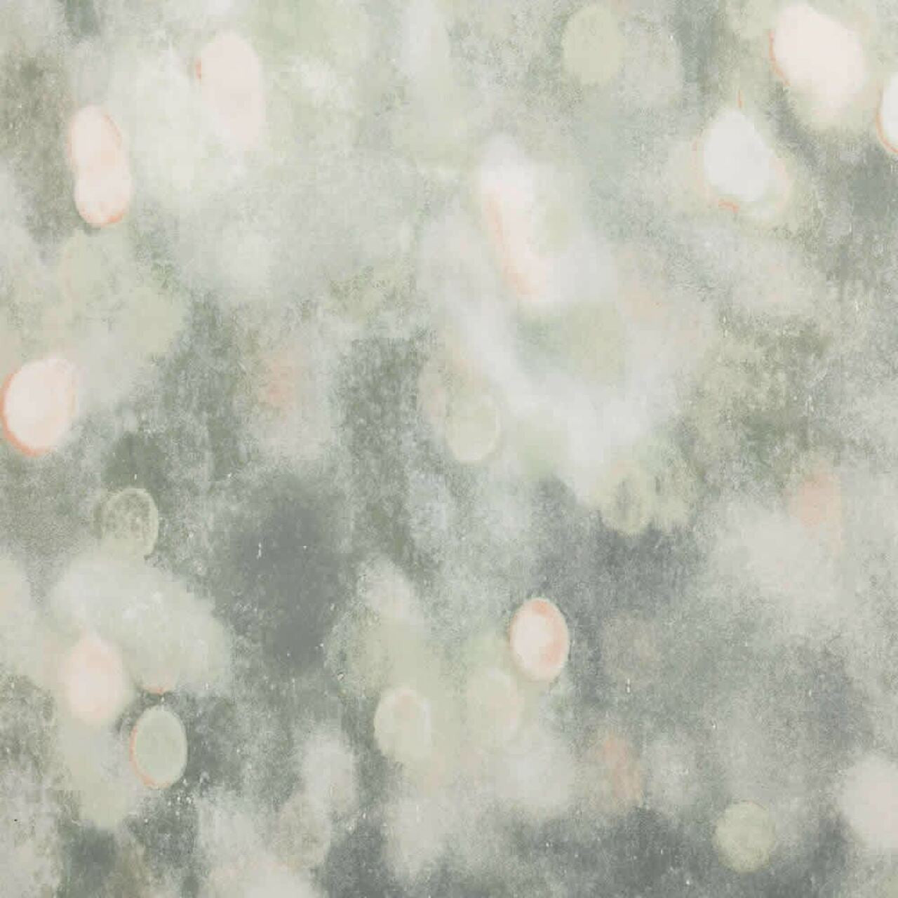 W613/03 Bokeh Scene Wallpaper By Villa Nova