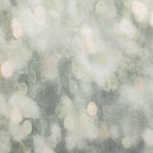 W613/03 Bokeh Scene Wallpaper By Villa Nova