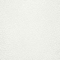 Speckle Birch Wallpaper by Villa Nova