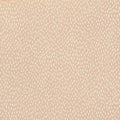 Speckle Plaster Wallpaper by Villa Nova
