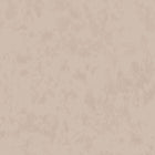 W625/02 Alumina Serene Bisque Wallpaper By Villa Nova