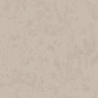 W625/02 Alumina X Kyra Cane Wallpaper by Villa Nova