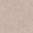 W625/05 Alumina X Kyra Cane Wallpaper by Villa Nova