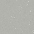 W627/01 Ditto X Kyra Cane Wallpaper by Villa Nova