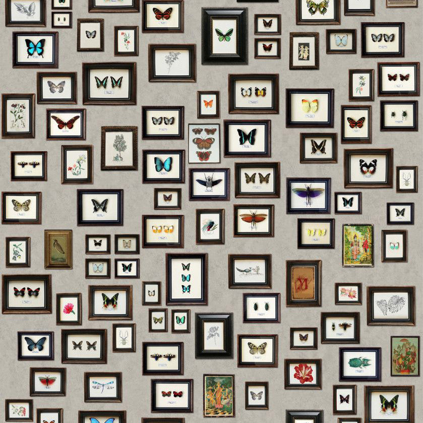 W6953-01 Narissa Panel by Matthew Williamson