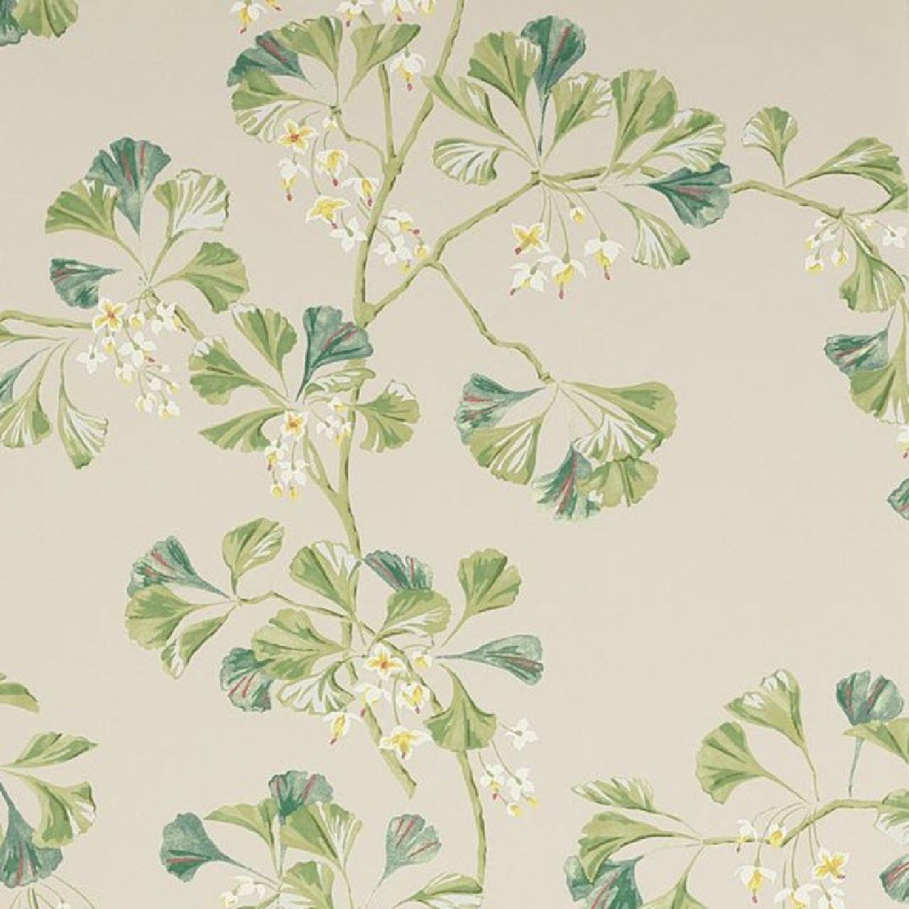 W7004/01 Greenacre Jardine Florals Wallpaper by Colefax and Fowler