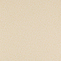 Wendle Small Design II Wallpaper by Colefax and Fowler