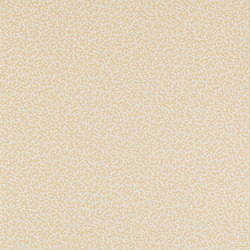 W7014-02 Wendle Small Design II Wallpaper by Colefax and Fowler