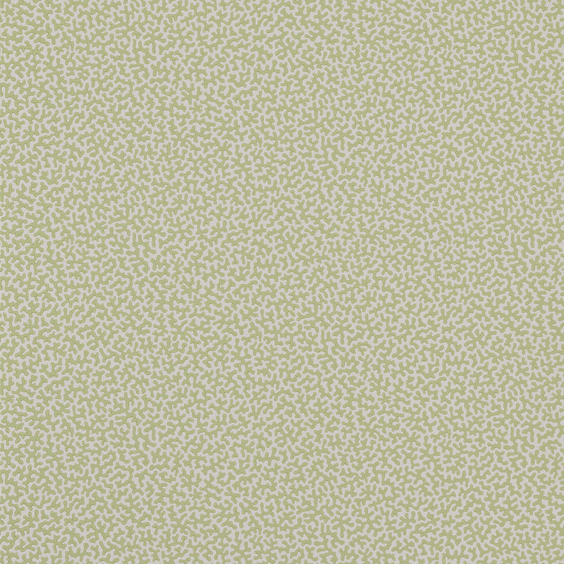 W7014-03 Wendle Small Design II Wallpaper by Colefax and Fowler