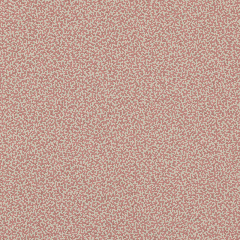 W7014-05 Wendle Small Design II Wallpaper by Colefax and Fowler
